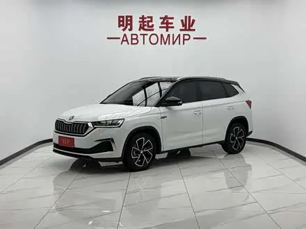 SKODA KAMIQ — из Китая под ключ