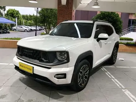 HAVAL 大狗 PLUS 新能源 — из Китая под ключ