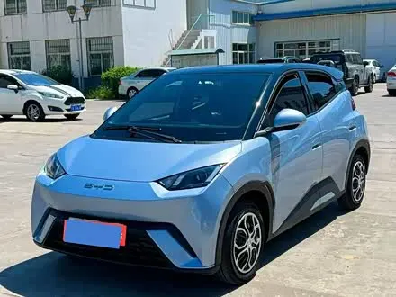 BYD SEAGULL — из Китая под ключ