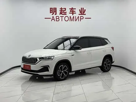 SKODA KAMIQ — из Китая под ключ