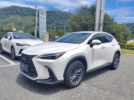 LEXUS NX — из Китая под ключ