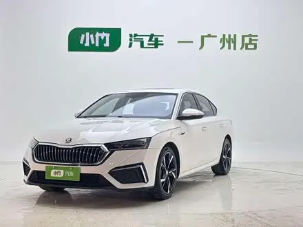 SKODA OCTAVIA — из Китая под ключ