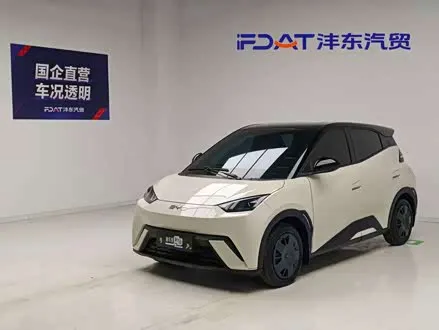BYD SEAGULL — из Китая под ключ