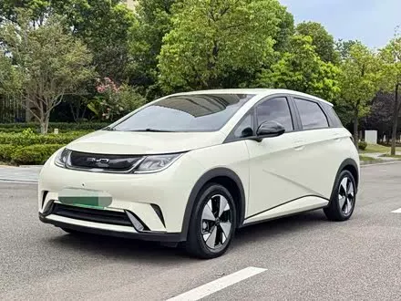 BYD DOLPHIN — из Китая под ключ