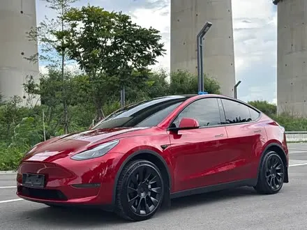 TESLA MODEL Y — из Китая под ключ
