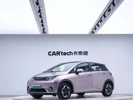 BYD DOLPHIN — из Китая под ключ