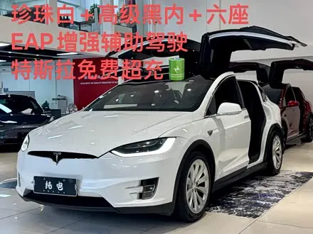 TESLA MODEL X — из Китая под ключ