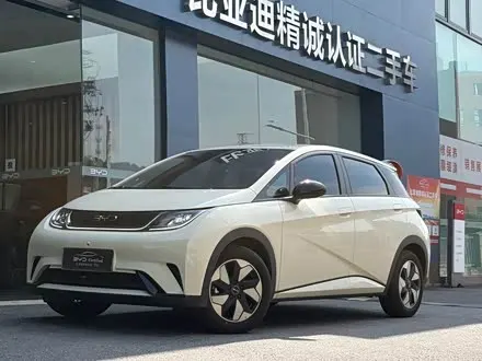 BYD DOLPHIN — из Китая под ключ