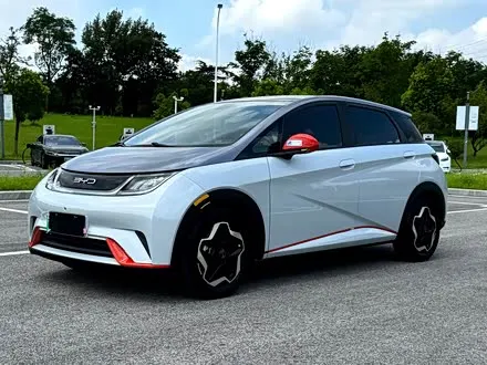 BYD DOLPHIN — из Китая под ключ