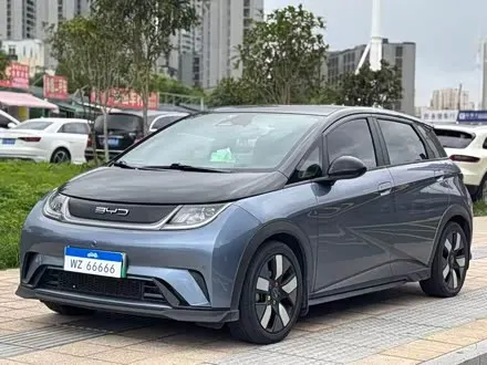 BYD DOLPHIN — из Китая под ключ