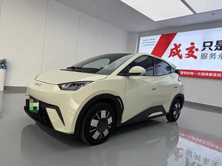 BYD SEAGULL — из Китая под ключ