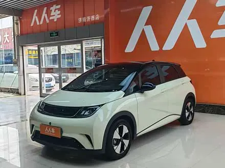 BYD DOLPHIN — из Китая под ключ