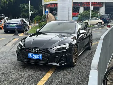 AUDI S5 2023