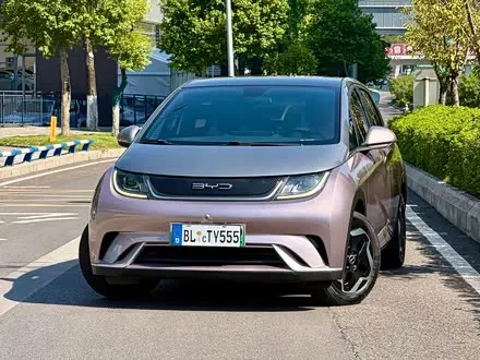 BYD DOLPHIN — из Китая под ключ