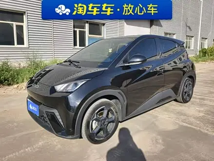 BYD SEAGULL — из Китая под ключ