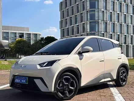 BYD SEAGULL — из Китая под ключ