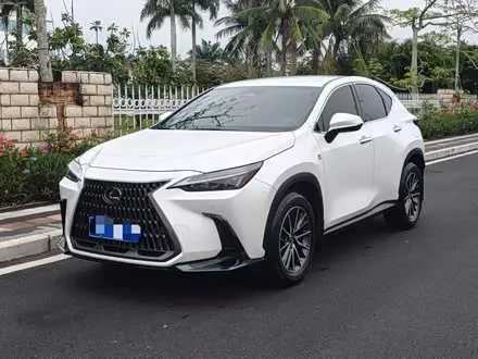 LEXUS NX — из Китая под ключ