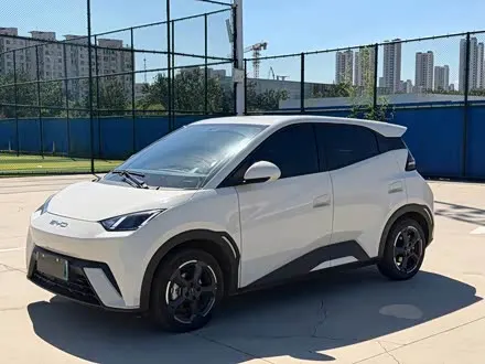 BYD SEAGULL — из Китая под ключ