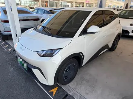 BYD SEAGULL — из Китая под ключ