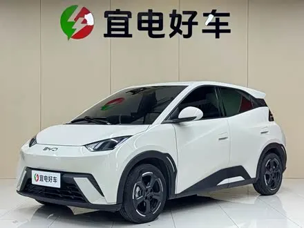 BYD SEAGULL — из Китая под ключ