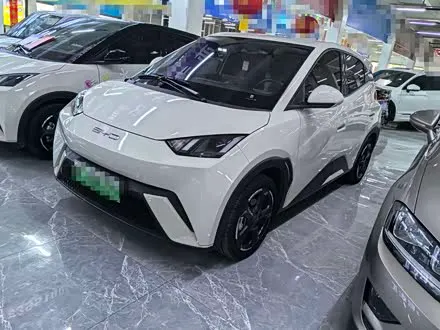 BYD SEAGULL — из Китая под ключ