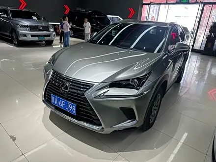 LEXUS NX — из Китая под ключ
