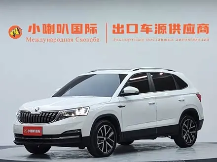 SKODA KAMIQ — из Китая под ключ