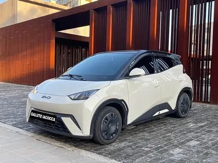 BYD SEAGULL — из Китая под ключ