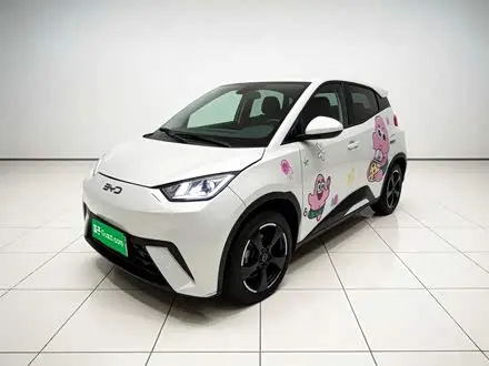 BYD SEAGULL — из Китая под ключ