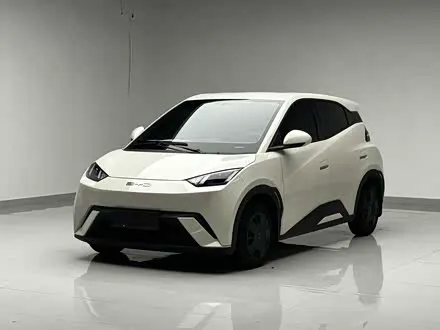 BYD SEAGULL — из Китая под ключ