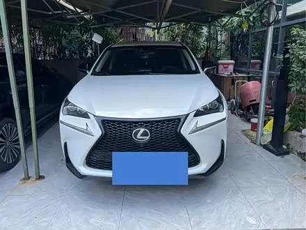 LEXUS NX — из Китая под ключ