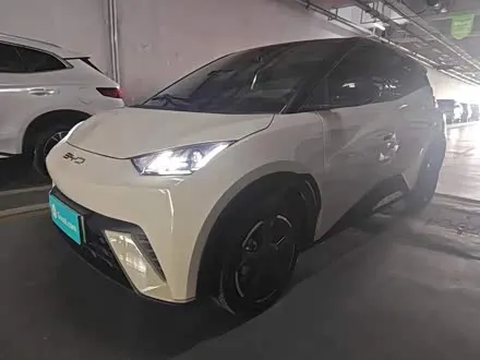 BYD SEAGULL — из Китая под ключ
