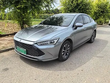 BYD QIN PLUS — из Китая под ключ