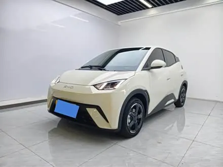 BYD SEAGULL — из Китая под ключ