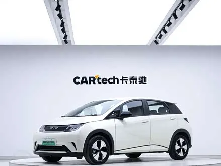 BYD DOLPHIN — из Китая под ключ