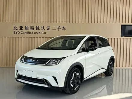 BYD DOLPHIN — из Китая под ключ