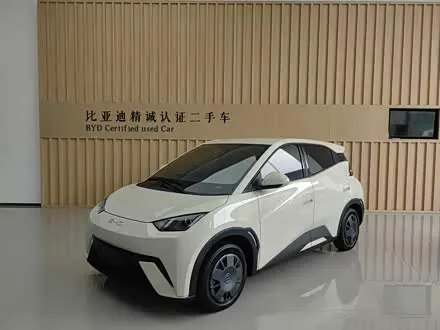 BYD SEAGULL — из Китая под ключ