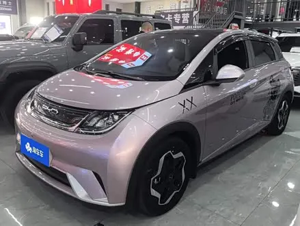 BYD DOLPHIN — из Китая под ключ