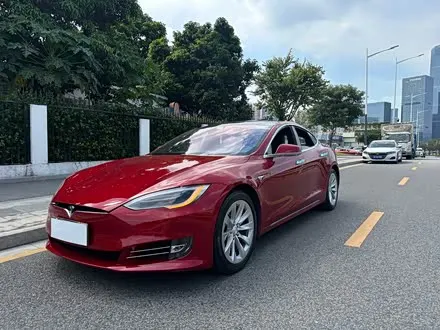 TESLA MODEL S — из Китая под ключ