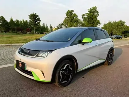 BYD DOLPHIN — из Китая под ключ