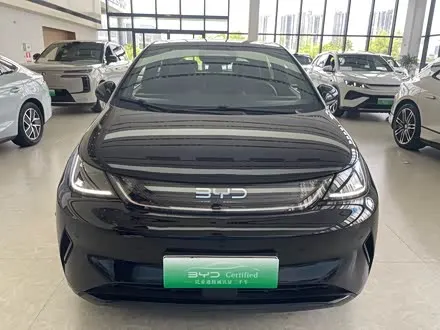 BYD DOLPHIN — из Китая под ключ