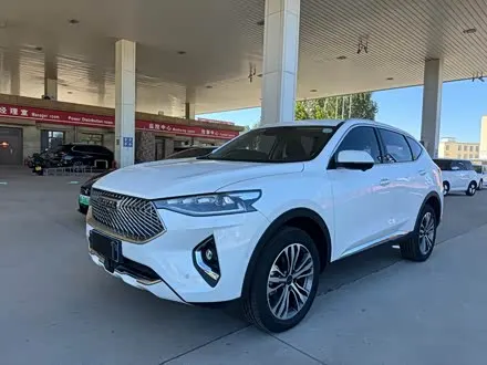 HAVAL F7 — из Китая под ключ