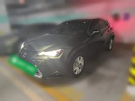 LEXUS UX — из Кореи под ключ
