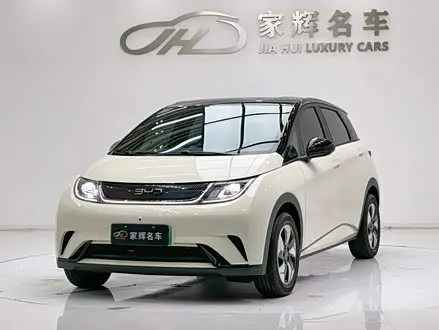 BYD DOLPHIN — из Китая под ключ