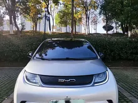 BYD DOLPHIN — из Китая под ключ