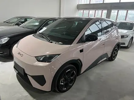 BYD SEAGULL — из Китая под ключ