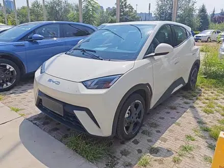 BYD SEAGULL — из Китая под ключ