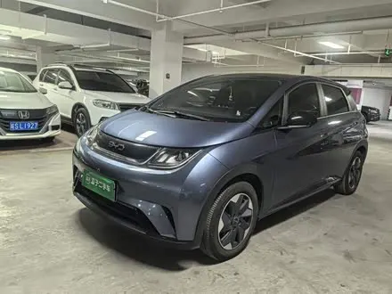 BYD DOLPHIN — из Китая под ключ