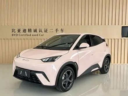 BYD SEAGULL — из Китая под ключ