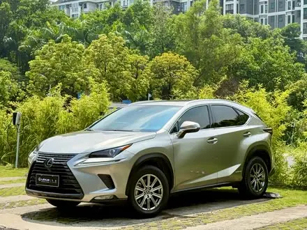 LEXUS NX — из Китая под ключ